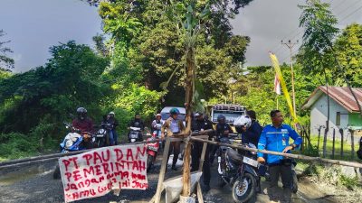 Kesal Tak Kunjung Diperbaiki, Warga Lingkar Industri Migas di Batui Demo dan Tanam Pisang di Jalan Rusak