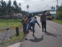 Tabrak Sapi, Pelajar di Nuhon Banggai Alami Luka, Polisi ke TKP