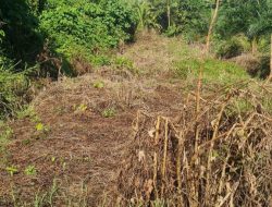 Pemilik Lahan di Desa Pokeang Tuntut Pemerintah Desa Bertanggung Jawab atas Pembangunan Jalan Tani Tanpa Izin
