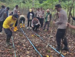 Kapolres Banggai Pimpin Penanaman Jagung di Nambo, Petani Diajak Perkuat Ketahanan Pangan