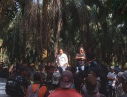 Sengketa Lahan PT KLS Memanas: Warga Moilong dan Satgas Perusahaan Nyaris Bentrok