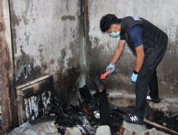 Jejak Lem Fox dan Api di Bungin Timur